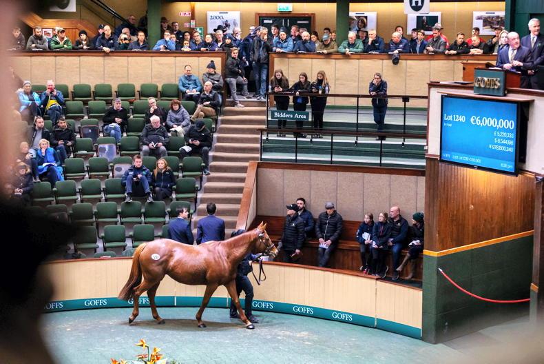SALES: Coolmore spends €19m on Niarchos jewels - Vimarsana News