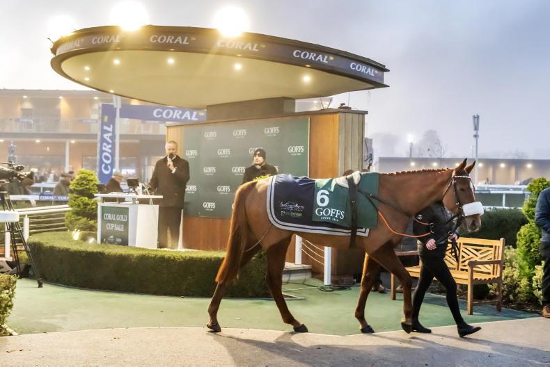 SALES: Average price of £119,167 at Goffs Newbury Sale - Vimarsana News