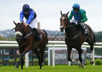 Peter Fahey eyeing County Hurdle with The Big Doyen - Vimarsana News