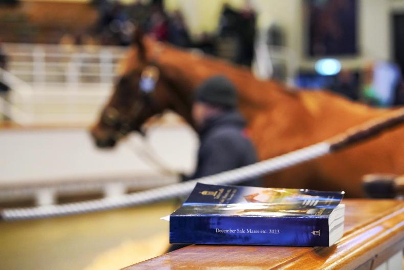SALES: Dundalk listed winner sold for 300,000gns - Vimarsana News