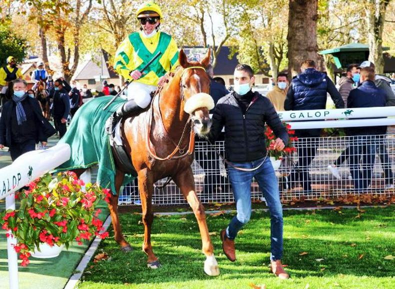 Kenway to stand at Coolagown Stud - Vimarsana News
