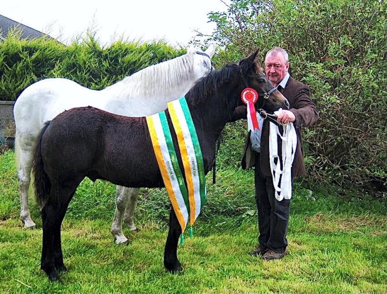 BREEDERS' 10 - Val Noone: Without a shadow of a doubt - Vimarsana News