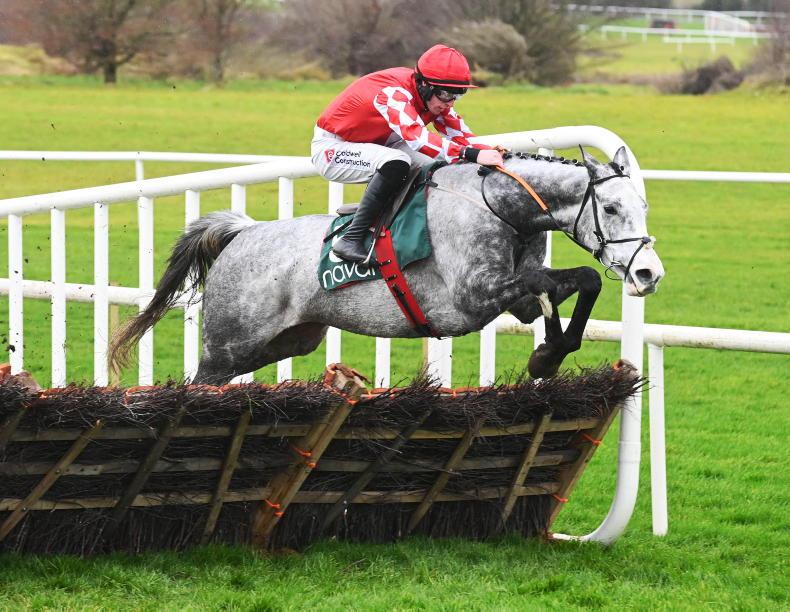 HORSES TO FOLLOW: 'He would be of real interest if declared for this Grade 1' - Vimarsana News
