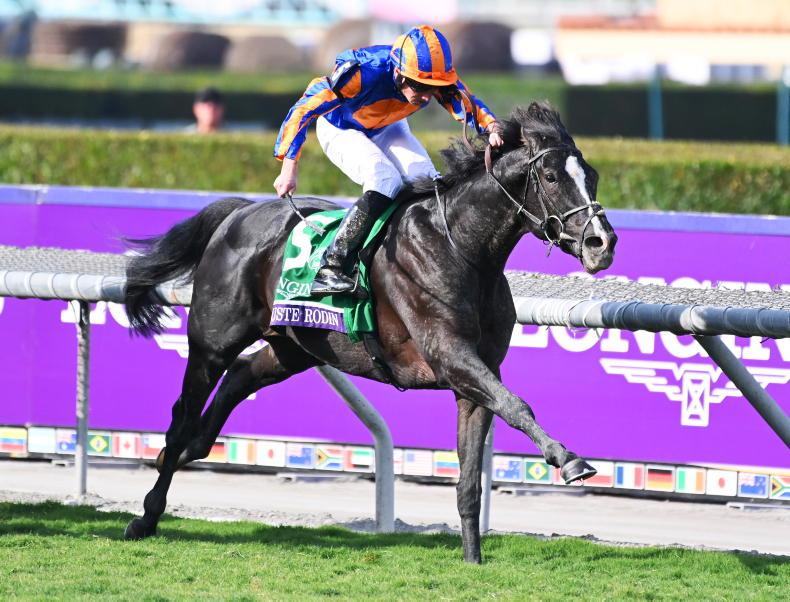 REVIEW 2023: Auguste Rodin's renaissance oh so sweet in big Ballydoyle year - Vimarsana News