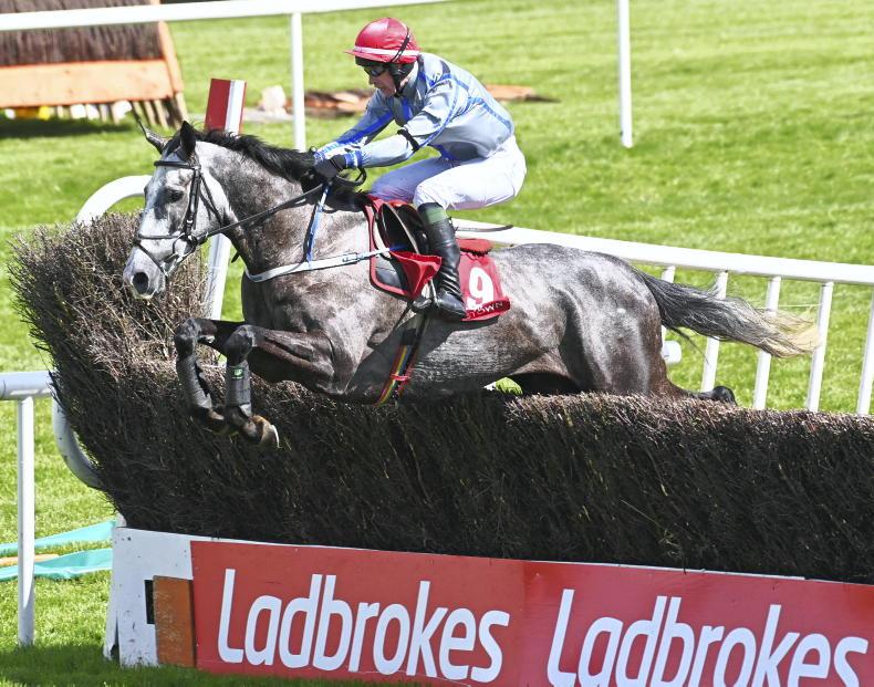 LEOPARDSTOWN WEDNESDAY: Last year's third set for compensation in Paddy Power - Vimarsana News