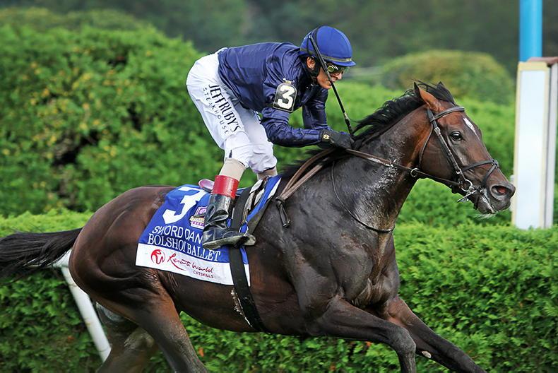 NEWS: Bolshoi Ballet retired to The Beeches Stud - Vimarsana News