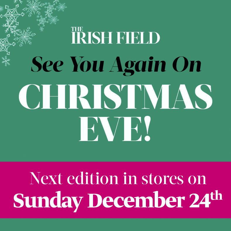 What's in the Christmas Eve edition? - Vimarsana News