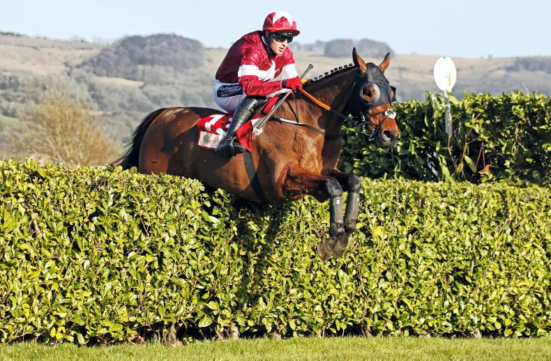 NEWS: Authorized to stand at Capital Stud - Vimarsana News