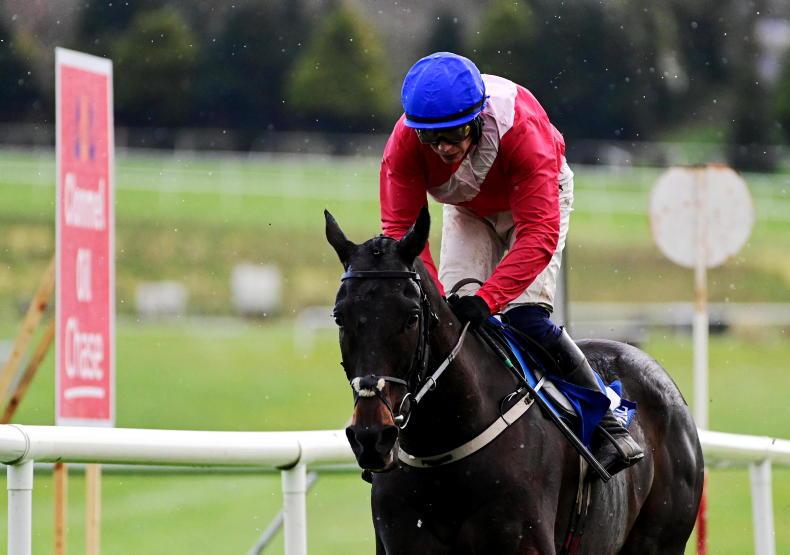 RACING CENTRAL: Can Allaho bring his tour de force to Kempton? - Vimarsana News