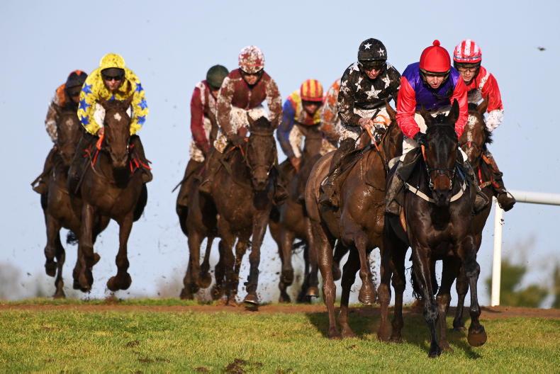 NEWS: Coolmore launches €1,000 bonus scheme for PTP breeders - Vimarsana News