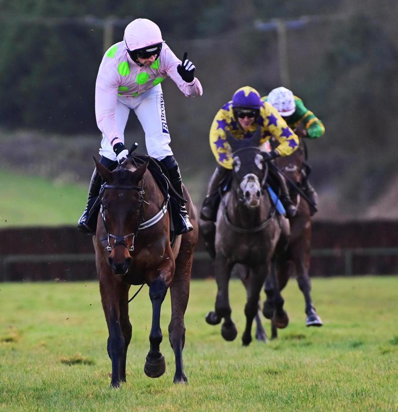FAUGHEEN NOVICE CHASE: Warrior blows rivals away but Cheltenham concerns linger - Vimarsana News
