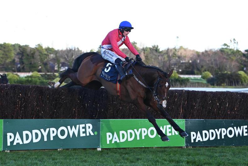 MARK BOYLAN: The three Cheltenham Festival favourites I'm eager to take on - Vimarsana News