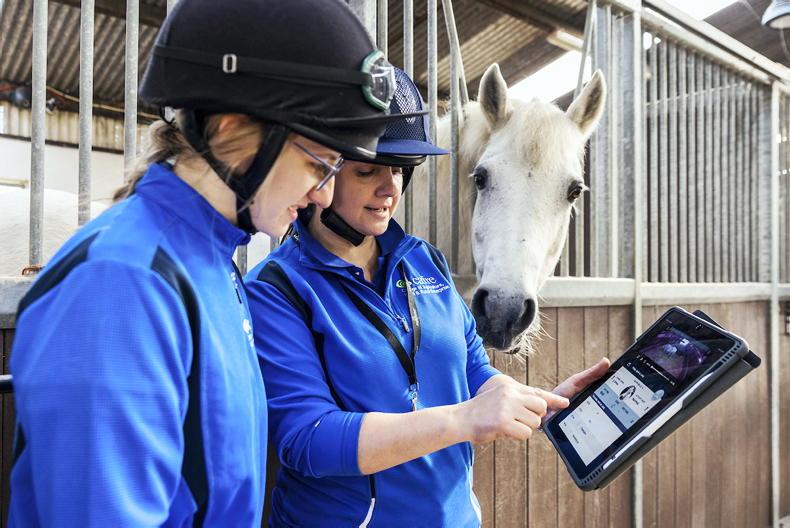 discover-cafre-progressing-careers-in-the-equine-industry-12-january