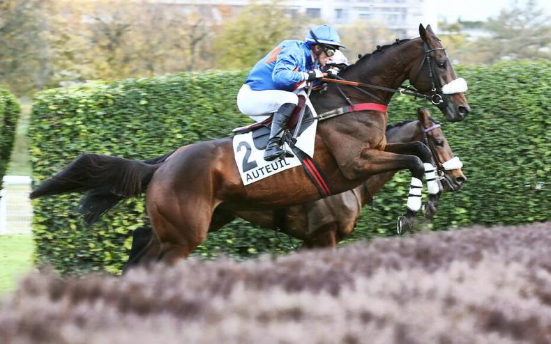 Top French hurdler on track for Cheltenham - Vimarsana News