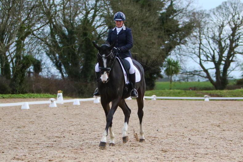 DRESSAGE: Dundee records treble at Gransha - Vimarsana News