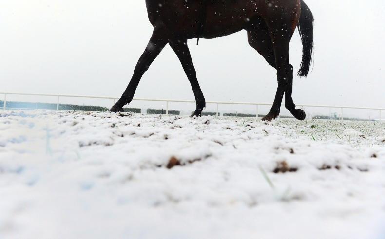 Quick tips for winter hoof care - Vimarsana News