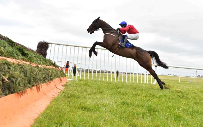 THURLES SUNDAY: Can Allaho bounce back at the age of 10 for another feature win? - Vimarsana News