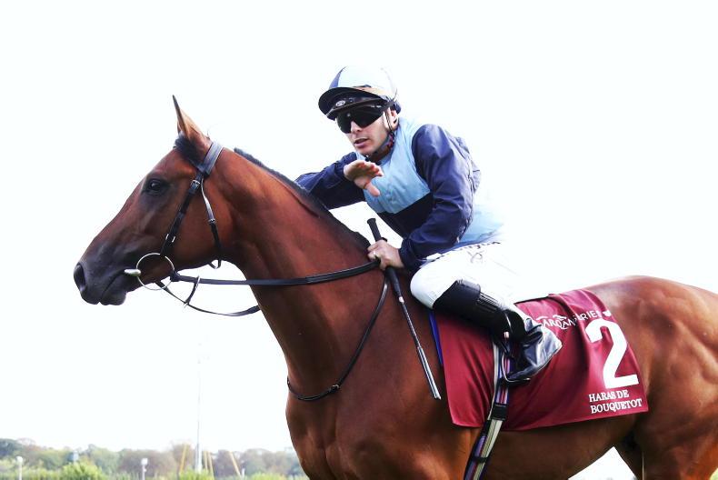 NEWS: Joseph O'Brien confirms Hong Kong sale for stable's top two-year-old colt - Vimarsana News