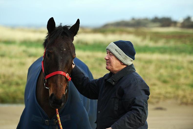 Blazing Khal headed to Boyne Hurdle - Vimarsana News