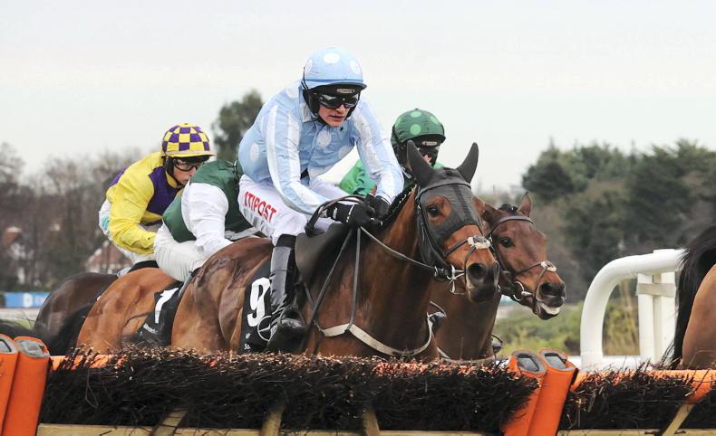WATCH: Kargese makes it to back to back Spring Juvenile wins for connections - Vimarsana News
