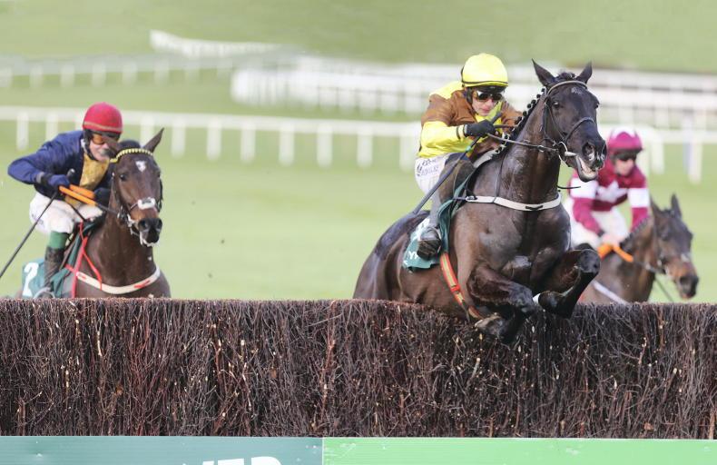 ANGUS McNAE - TIME WILL TELL: Galopin Des Champs can be even better - Vimarsana News