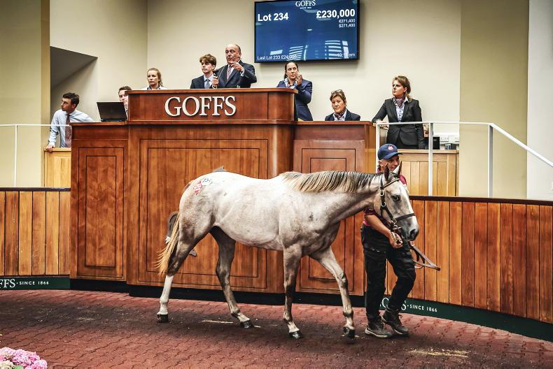 FEATURE: Who were the most profitable sires at the yearling sales? - Vimarsana News