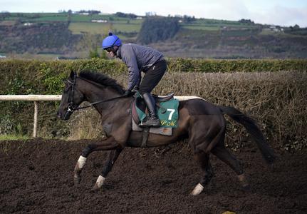 Galopin Des Champs primed for Gold Cup defence - Vimarsana News