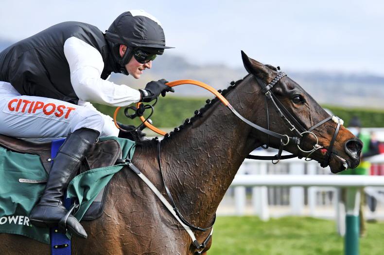 Cromwell to make late call on Flooring Porter's Festival target - Vimarsana News