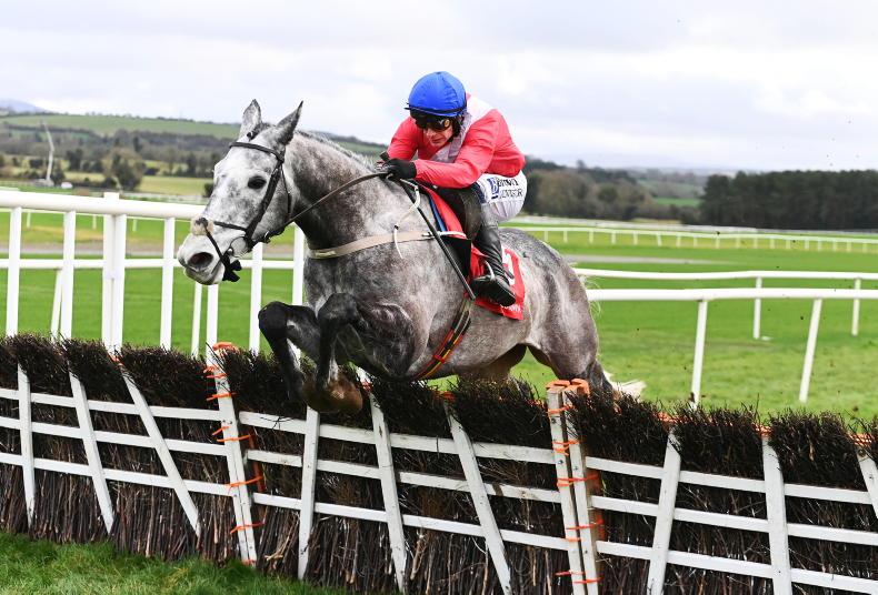 MARK BOYLAN: Time to worry about Tullyhill's short turnaround to Cheltenham? - Vimarsana News
