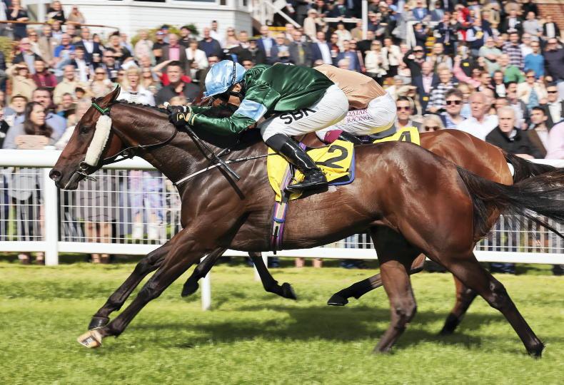 RACING CENTRAL: Jack Davison makes maiden voyage to Southwell with stable star - Vimarsana News