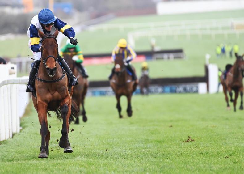 NAAS SUNDAY: Kings Halo to soar again back at Naas - Vimarsana News