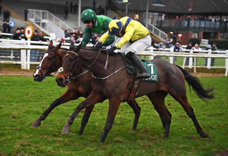 WATCH: 'He's the best bumper horse in Ireland' - Vimarsana News