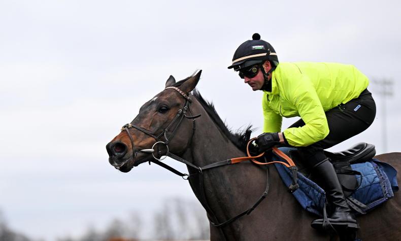 NEWS: Constitution Hill scopes dirty after "disappointing" pre-Cheltenham gallop - Vimarsana News