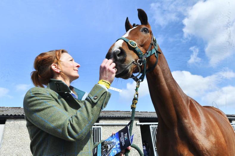 IHRB and BHA join forces in landmark equine anti-doping initiative - Vimarsana News