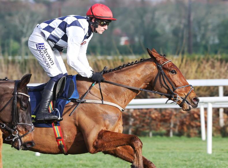 CHELTENHAM NEWS: Ballyburn lights up the track - Vimarsana News