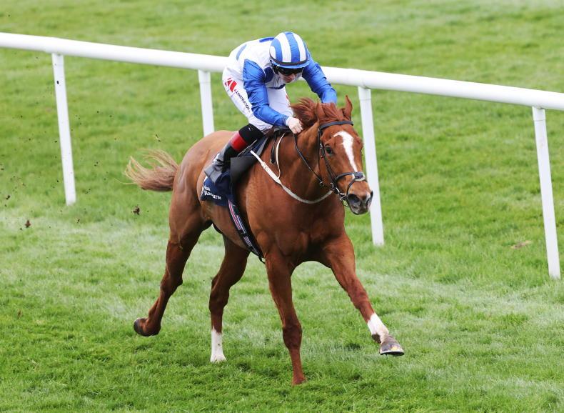 TONY KEENAN: Lyons fillies fit for fighting - Vimarsana News