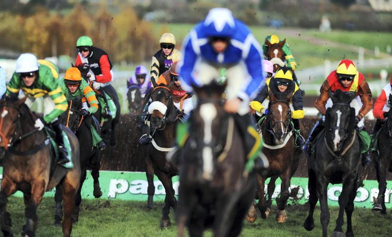 All-weather fields encouraging but jumps racing "short" on numbers - Vimarsana News