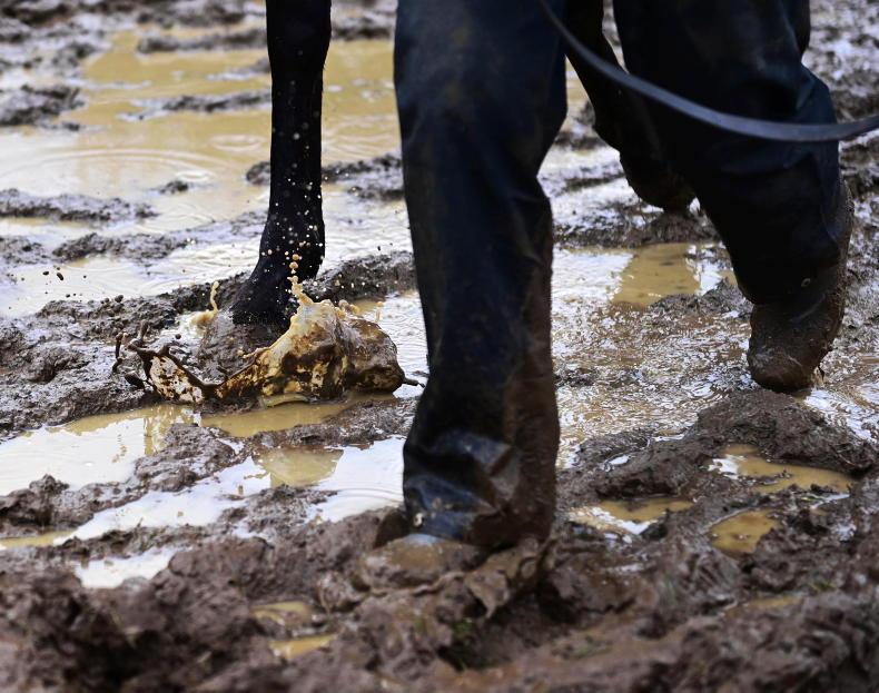 NEWS: Racing authorities scramble to replace lost races - Vimarsana News