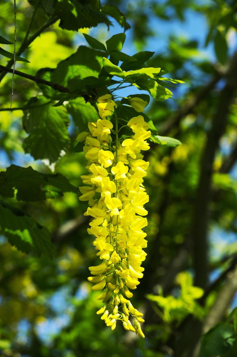 Spring is in the air! - Vimarsana News