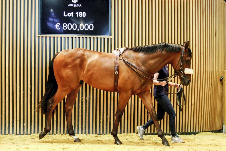 SALES: Plenty of Irish vendors hoping for Deauville bonanza - Vimarsana News