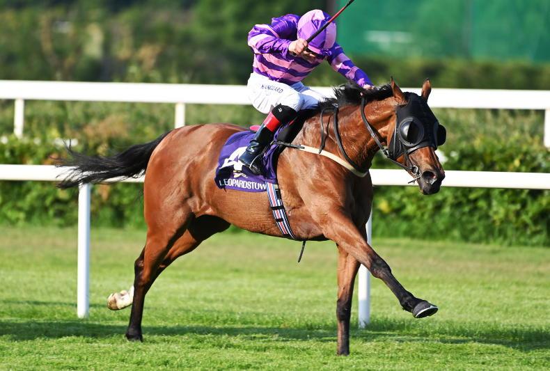SLIGO SUNDAY: Good course second points to big run from fillies' handicap fancy - Vimarsana News
