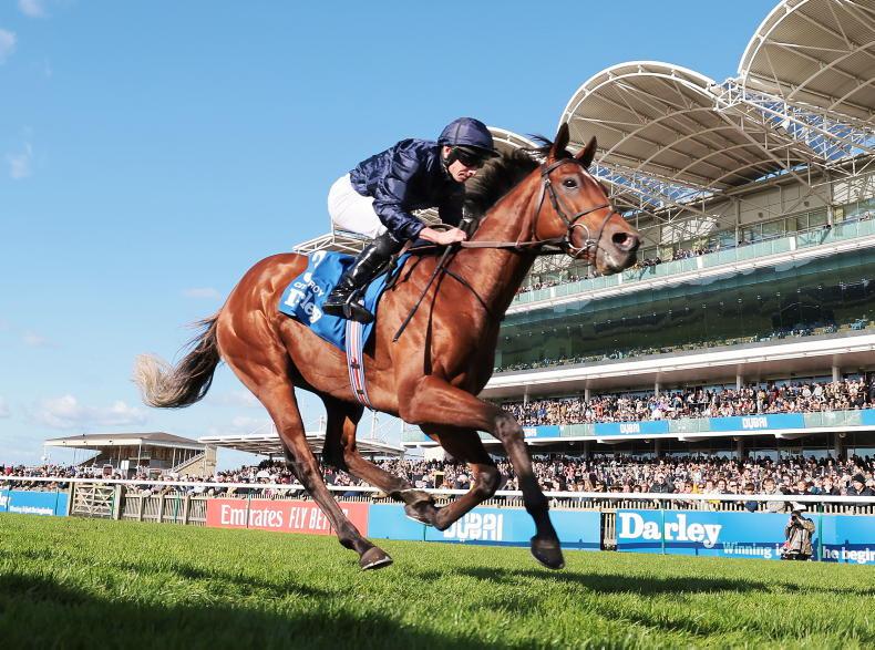 THE WEEK THAT WAS: The path to a Derby winner - Vimarsana News