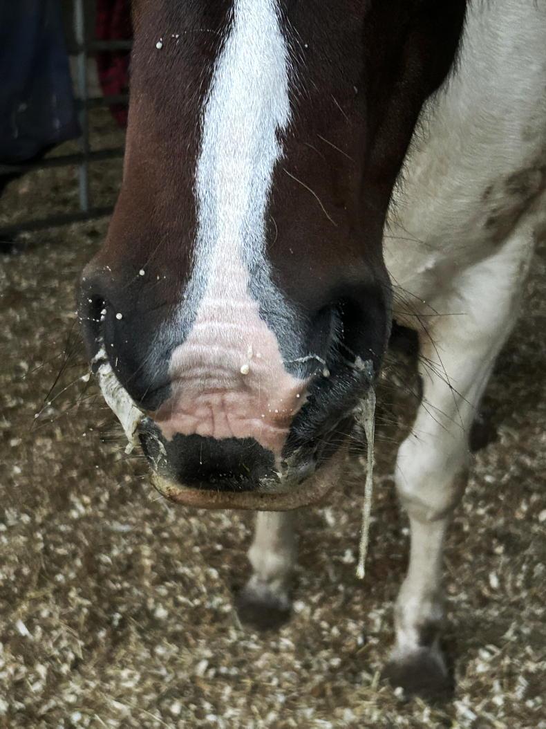 What is choke and how do I deal with it? 18 October 2024 Free