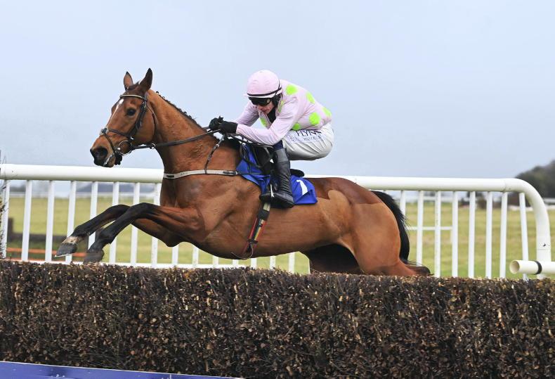 Allegorie De Vassy and Brandy Love to be sold at Goffs 2025-09-17