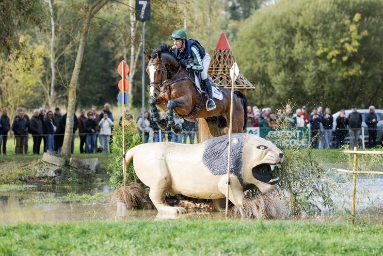 NEWS: Cassells claims two medals on wonderful day for Irish horses 2025-10-19