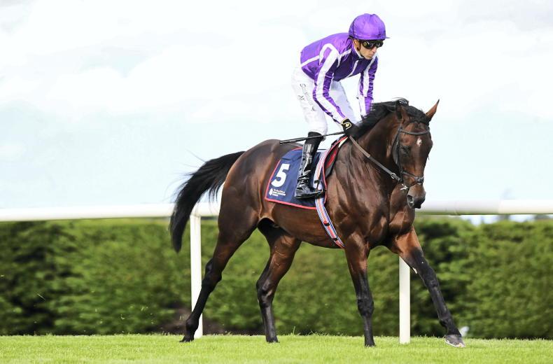 NEWS: 'Very important' Delacroix bows out to join Coolmore stallion roster 2025-10-20