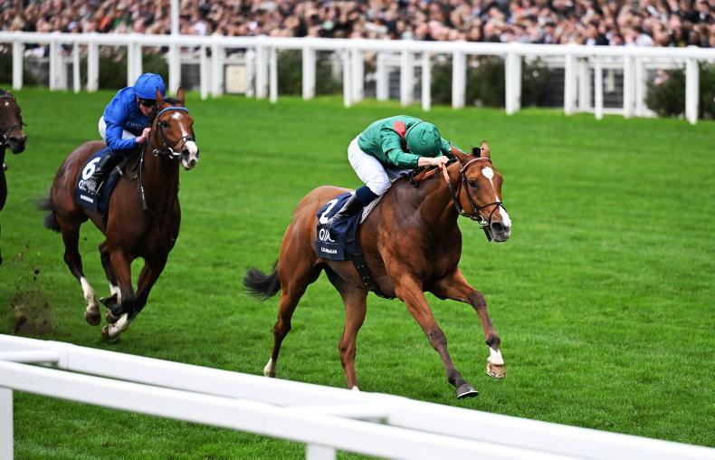 PODCAST: THE RACING EDGE - Champions, shocks and Cheltenham Festival changes 2025-10-21