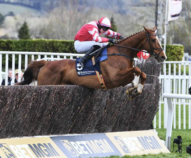 TONY KEENAN: Which novice will make the step up? 2025-10-29