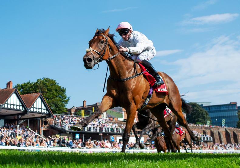 NEWS: Absurde and Goodie Two Shoes in Melbourne Cup doubt 2025-10-30