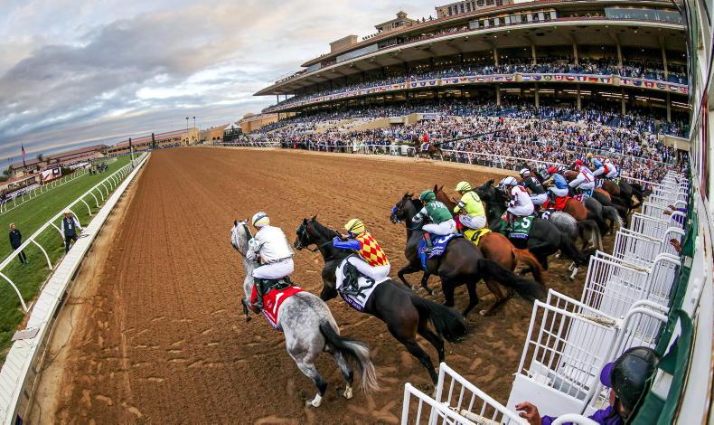 Powerful Irish team out for glory at Breeders’ Cup this weekend 2025-10-30